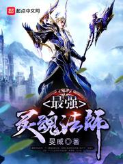 灵魂手游法师加点