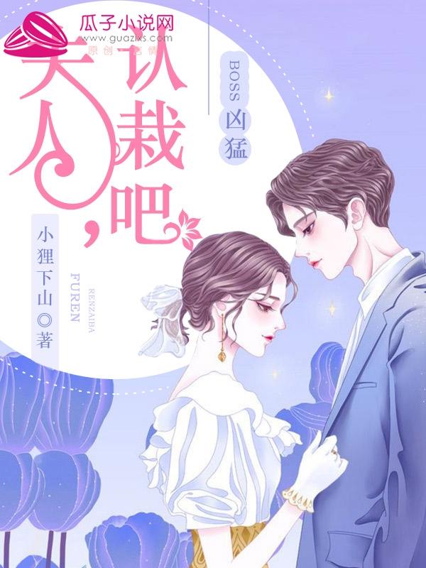 夫人莫慌4