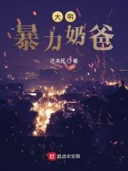 大明暴力奶爸有声