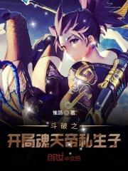 斗破之开局魂秀