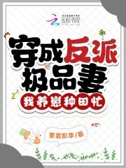 穿成反派极品妻 穿成反派极品妻