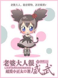 老婆大人很威武有几本 老婆大人很威武有几本