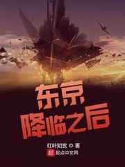 降落东京 降落东京