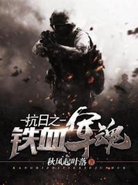 抗战之铁血军魂全集