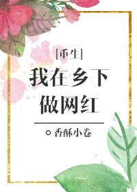 我在乡下做先生 我在乡下做先生