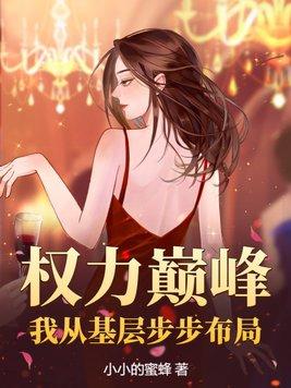 权力巅峰我从基层步步布局最新更新 权力巅峰我从基层步步布局最新更新