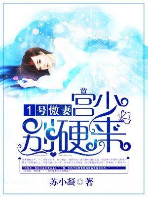 一号傲妻宫少别来硬的 一号傲妻宫少别来硬的