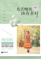 你若懂我该有多好的歌词