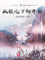 修仙强化术
