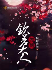 钦差大人驾到电视剧免费