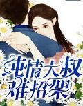 纯情 免费阅读