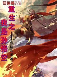 重生之我是孙悟空 重生之我是孙悟空