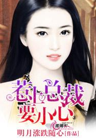 惹上总裁要小心 惹上总裁要小心