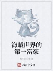 海贼世界的第一富豪 海贼世界的第一富豪