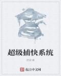 超级捕快系统 超级捕快系统