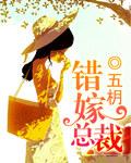 错嫁总裁 错嫁总裁