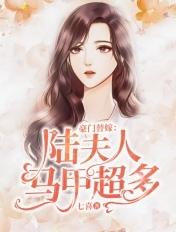 豪门替嫁:陆夫人马甲超多 豪门替嫁:陆夫人马甲超多